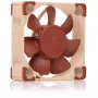 Noctua NF-A4x10 24V PWM korpusa ventilators, 40 mm, 5000 apgr./min, 19,6 dB, bēšs/brūns