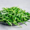 Sēklas uz lentes — Apte Rukola (Eruca sativa) 6 m mājas un dārza audzēšanai