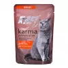 RAFI Cat Adult ar pīli - mitrā kaķu barība - 100g