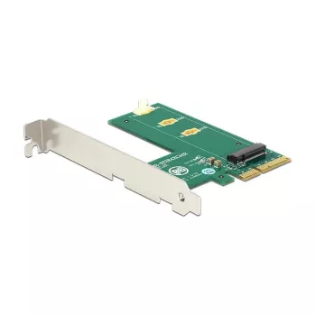 Interfeisa karte DeLOCK 89561