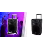 Pārnēsājams karaoke skaļrunis MANTA SPK5021PRO 20W, 12 collu zemfrekvences skaļrunis, 80W RMS, Bluetooth, baterija līdz 5h, SD/USB, mikrofona un ģitāras ieejas