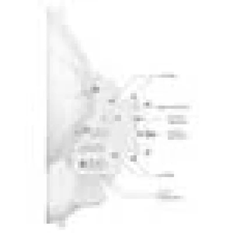 Ubiquiti AirFiber AF-24HD, 2 Gb/s+ maģistrāle, 24 GHz (cena par gab.) 2 Gb/s+