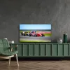 Thomson 50QG7C14 TV 127 cm (50) 4K Ultra HD Smart TV Wi-Fi melns