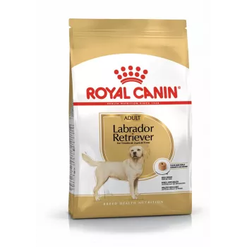 Sausā suņu barība Royal Canin Labrador Retriever Adult 12 kg — mājputni, 30% olbaltumvielu, 13% tauku