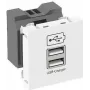 OBO USB lādētājs ar 2.1A lādēšanas strāvu MTG-2UC2.1 RW1 - 45 x 45 mm (6105300)
