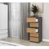Kumode Top e Shop W5 ANT/ART, 5 atvilktnes, Antracīts/Ozols, skaidu plātne