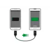 USB kabelis DeLOCK 83570 USB 2.0 0,3 m USB B Melns