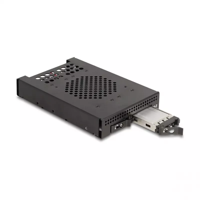 SSD korpuss DeLOCK 47117 3,5 collu mobilais rāmis 2 x M.2 NVMe SSD