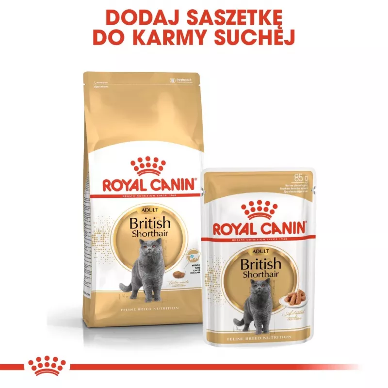 Sausā kaķu barība Royal Canin British Shorthair Adult 10 kg — mājputnu gaļa, olbaltumvielas 34%, tauki 19%