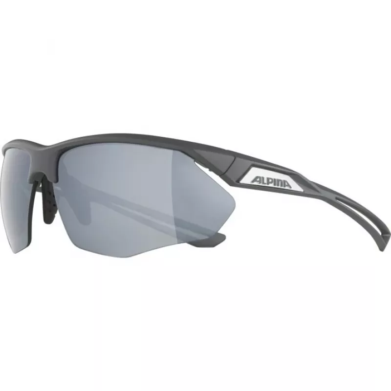 Alpina Nylos HR saulesbrilles 3. kat. pelēkas