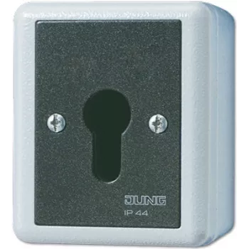 Atslēgas slēdzis JUNG 806.28 G — 2P, vadu, 250 V maiņstrāva, 16 A, melns/balt