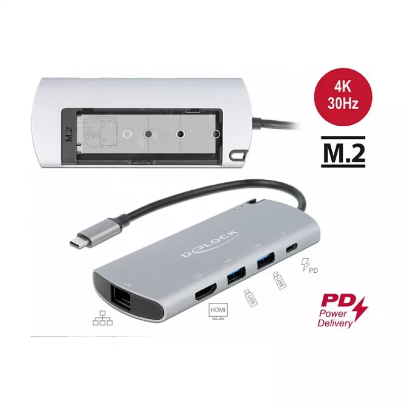 Docking Station DeLOCK USB Type-C Docking Station with M.2 Slot