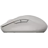 CANYON pele MW-12 Dual band Wireless pelēka