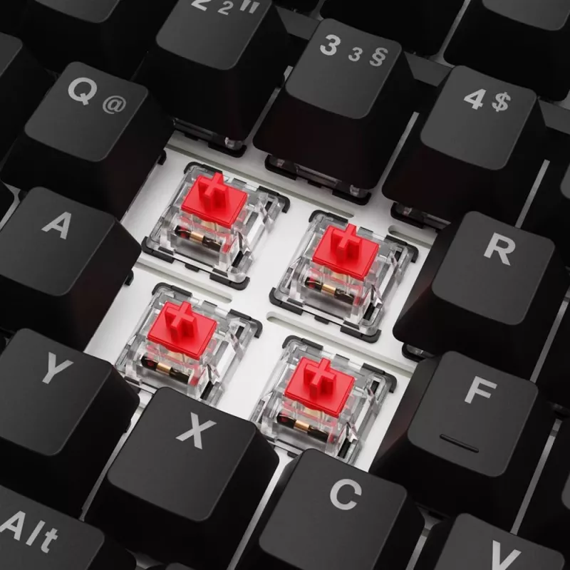 Sharkoon SGK25 tastatūra mājām USB QWERTZ vācu melna 75% RGB LED