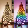 Viedās svētku virtenes NANOLEAF 1D sākuma komplekts 250 LED 20 m IP44 (NF084K02-20XLS)