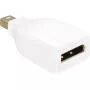 DisplayPort Mini M/FM DeLOCK DP Mini M DP FM balts