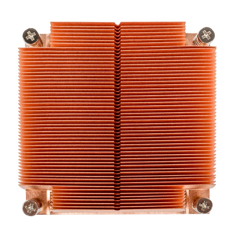 Silverstone SST-XE01-2011 serveris
