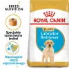 ROYAL CANIN SHN Breed Labrador Junior sausā suņu barība - 12 kg