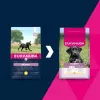 Sausā suņu barība EUKANUBA Puppy Large Chicken 15 kg — formula kucēniem lielu un milzu šķirņu kucēniem, 26,5% olbaltumvielu