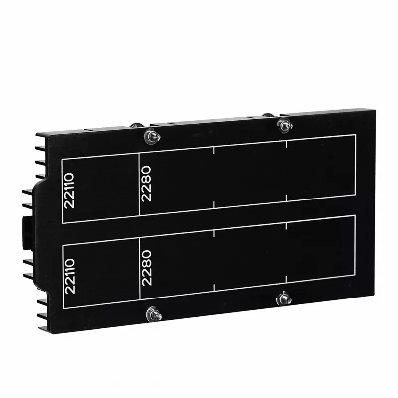 Synology M2D20 interfeisa kartes/adapteris iekšējais PCIe