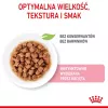 Mitrā kaķu barība Royal Canin Sterilised Gravy, 12 x 85 g maisiņi — vistas gaļa, sterilizētiem/kastrētiem kaķēniem, 11% olbaltumvielu, 80,5% mitruma