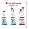 ROYAL CANIN Giant Adult - sausa suņu barība - 15 kg