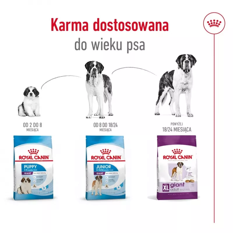 ROYAL CANIN Giant Adult - sausa suņu barība - 15 kg
