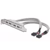 Slot Bracket kabelis USB 2.0 HighSpeed Type 2xIDC (5pin)/4xUSB A M/F pelēks 0,25m