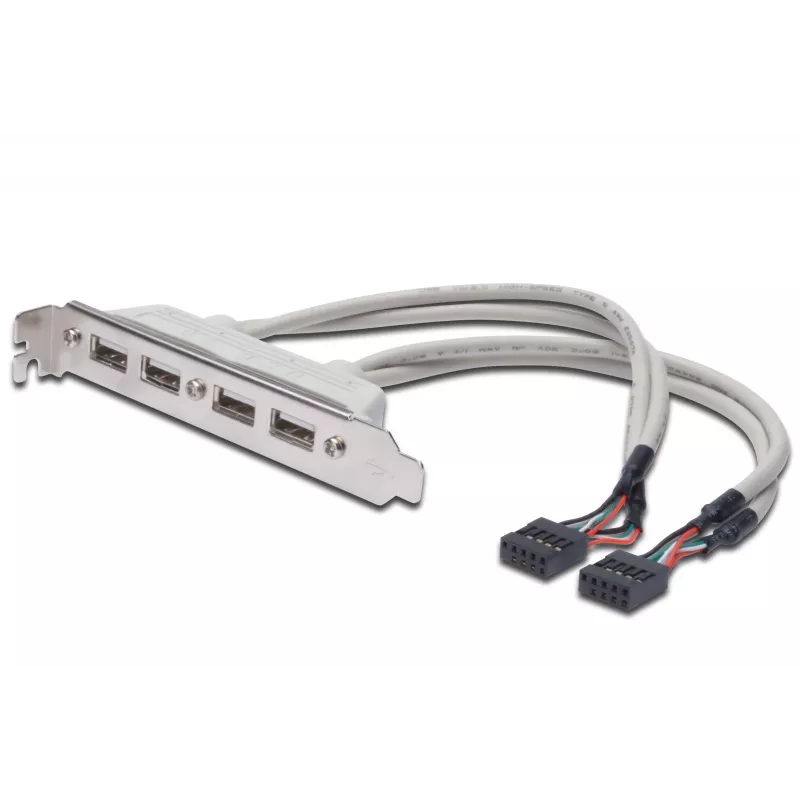 Slot Bracket kabelis USB 2.0 HighSpeed Type 2xIDC (5pin)/4xUSB A M/F pelēks 0,25m