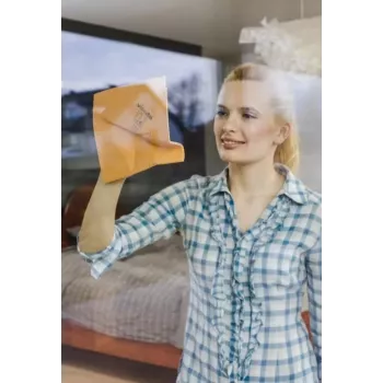 Logu lupatiņa Vileda 1 gab.