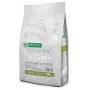 Sausā suņu barība nature’s protection Superior Care balta Dogs Grain Free Junior Small 10 kg — zivs, olbaltumvielas 26%, tauki 15%