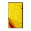 NEC MultiSync M651-2 Kioska dizains 165,1 cm (65 collas) LED 500 cd/m² 4K Ultra HD Melns Iebūvēts procesors