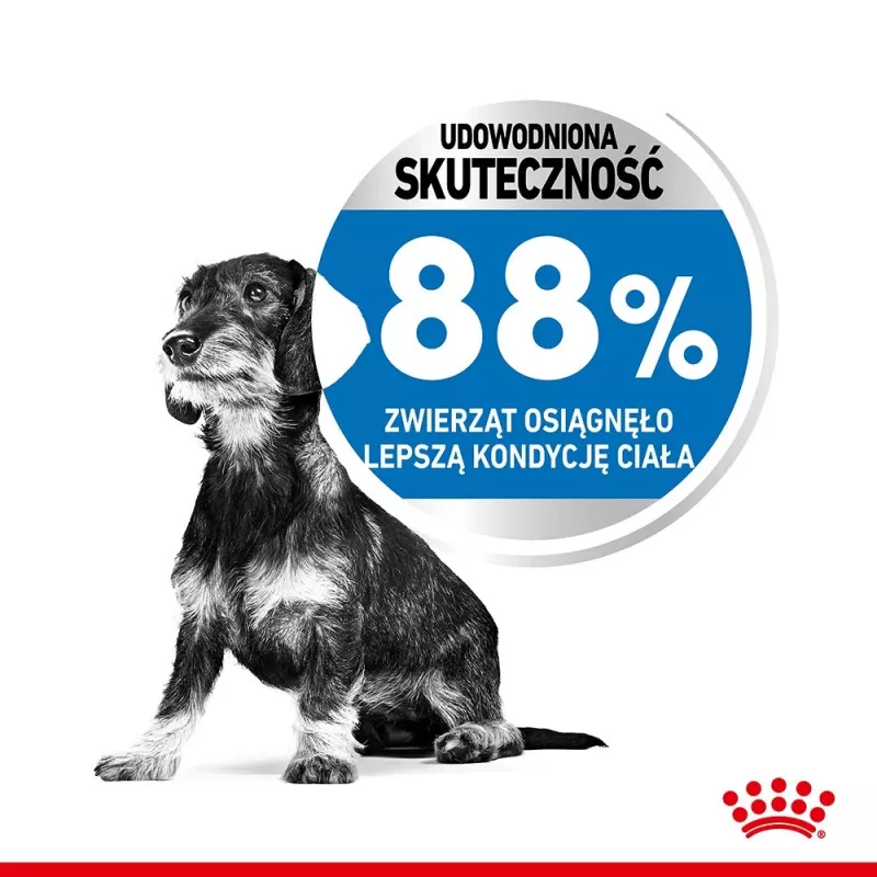 Royal Canin CCN MINI LIGHT WEIGHT CARE - sausā barība pieaugušiem suņiem - 3 kg