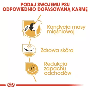 Sausā suņu barība Royal Canin French Bulldog Adult 9 kg — cūkgaļa, 26% olbaltumvielu, 18% tauku