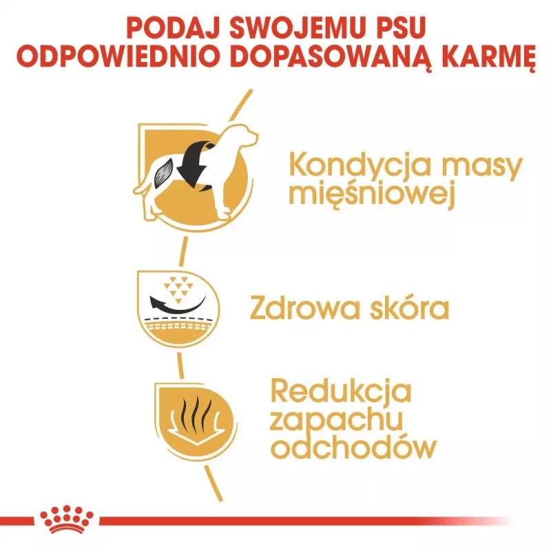 Sausā suņu barība Royal Canin French Bulldog Adult 9 kg — cūkgaļa, 26% olbaltumvielu, 18% tauku