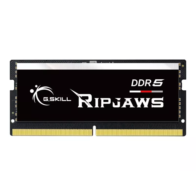 G.SKILL Ripjaws DDR5 SO-DIMM 16 GB (F5-5600S4040A16GX1-RS)