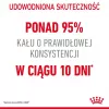 Sausā kaķu barība Royal Canin Digestive Care 4 kg — pieaugušiem kaķiem, putnu gaļa, gremošanas atbalsts