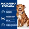 HILL'S PD Canine Derm Complete - mitrā suņu barība - 370g