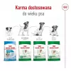 ROYAL CANIN Adult Mini S - sausā suņu barība - 2 kg