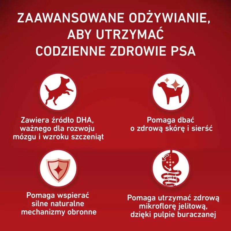 PURINA ONE MED/MAX Junior Chicken & Rice 2,5kg