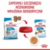 ROYAL CANIN SHN Mini Puppy mērcē - mitrā kucēnu barība - 12X85g
