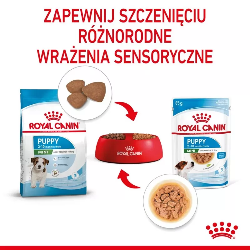 ROYAL CANIN SHN Mini Puppy mērcē - mitrā kucēnu barība - 12X85g