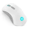 Spēļu pele Lenovo Legion M600 RF Bezvadu + Bluetooth + USB Type-A, piemērota abām rokām, 16000 DPI, 9 pogas, uzlādējama