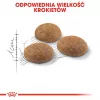 Royal Canin Outdoor sausā kaķu barība 2 kg