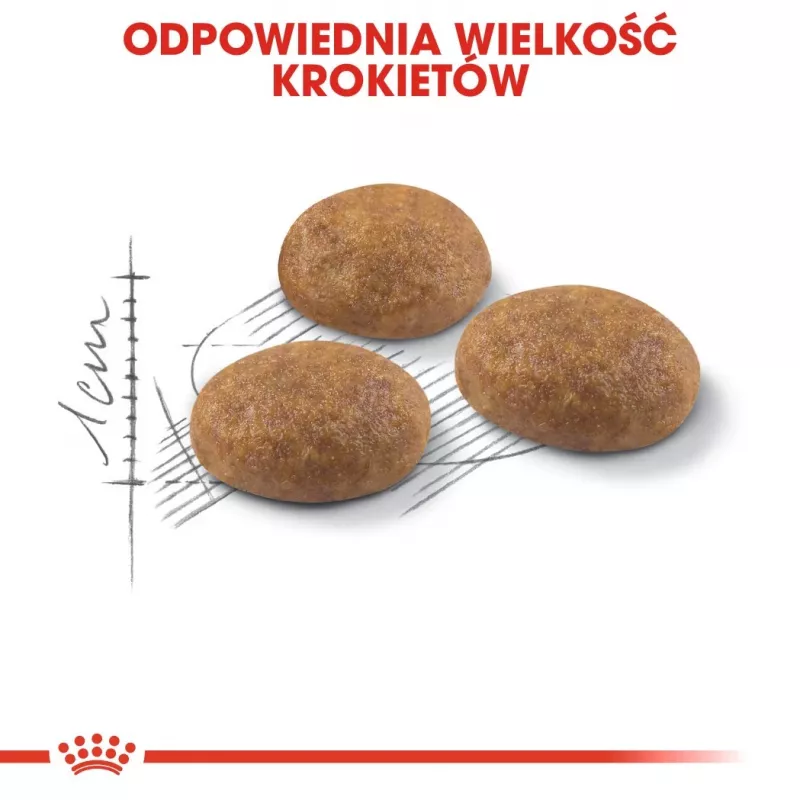Royal Canin Outdoor sausā kaķu barība 2 kg