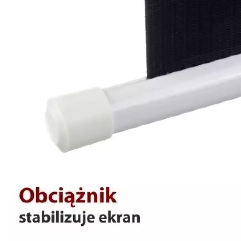 Projekcijas ekrāns ART EL F100 4:3