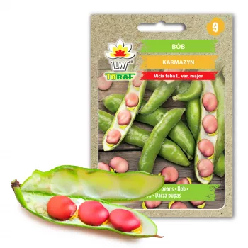 Crimson Bean Toraf dārzeņu sēklas, 30 g iepakojums