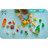 LEGO DUPLO 10452 Kempinga brauciens