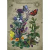 Galda spēle Ravensburger Circle of Life Butterfly 1000 gabaliņu
