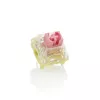 Mehāniskais slēdzis Ducky TTC Gold Pink DSK110-NPA1 lineārs 37g nospiešanas spēks